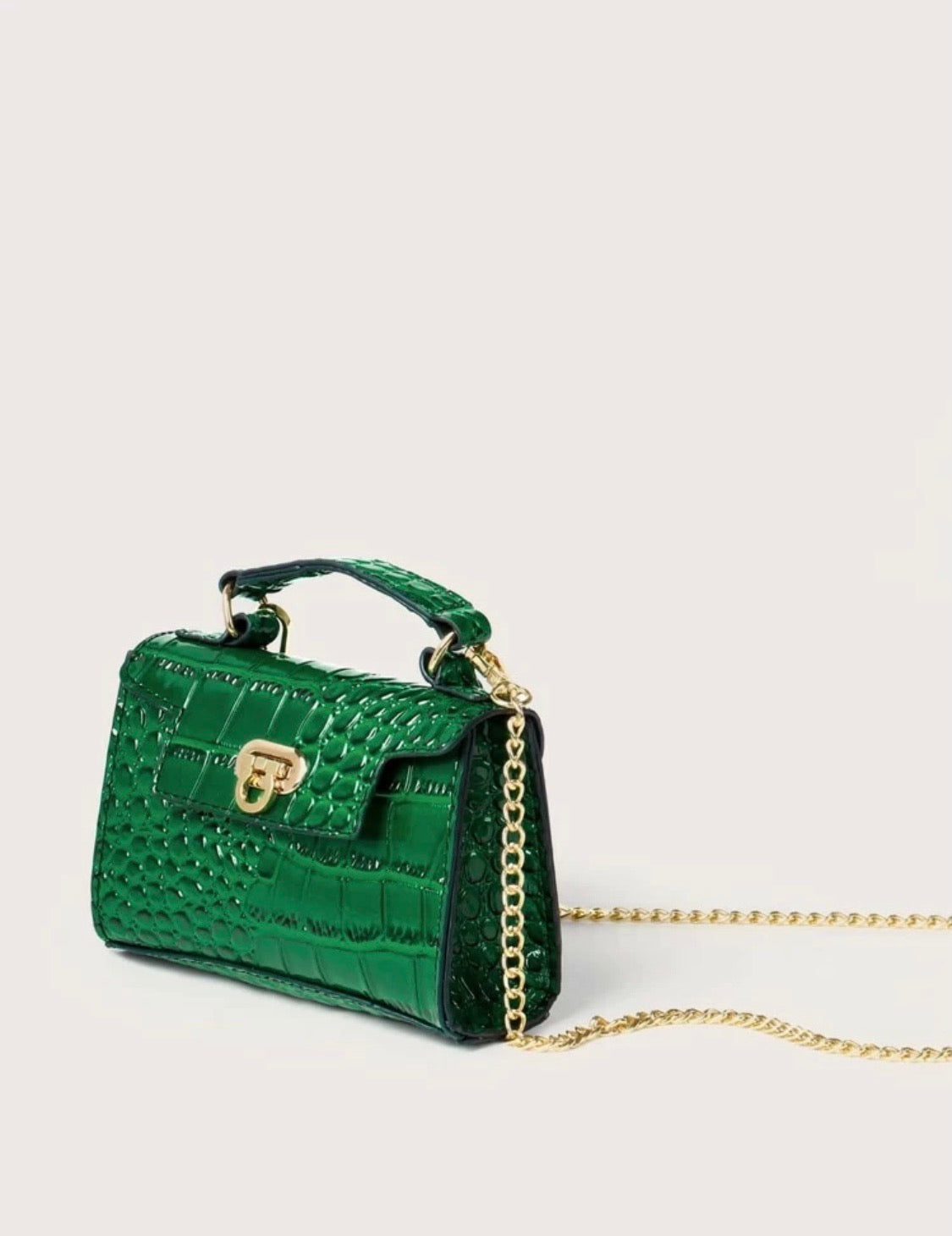 Mini Croc Bag